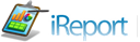 ireport icon